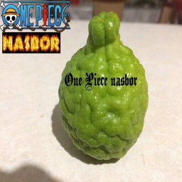 one piece nasbor