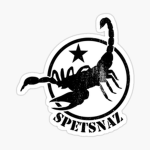 Spetsnaz Forces (CNS)