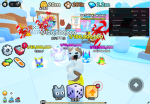 Pet go 團體