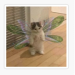 Avatar Ranker - !