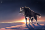 #Cute Wolf
