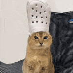 ok memes memes