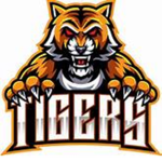 The tigers fam <3