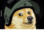 Agent Doge's
