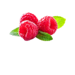 Raspberry Empire (Nations Roleplay)