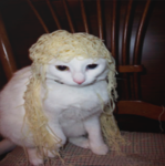 ОHIO