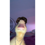 WeAreDucksYallAreYucks