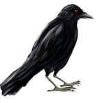 CROW never GIVE UP