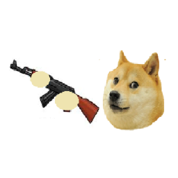 Doge Training