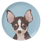 Dog Clothes