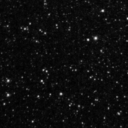stars