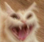 ØRIGIN