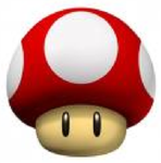 Toads co.