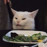 LGBTQ+ peeps (also accepting furrys)