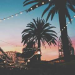 Palm Trees Cafe + Resort