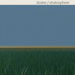 duster fields  icon