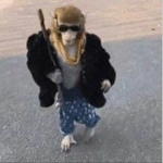 Mafiaso Passione