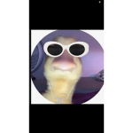 Skskkskskssksks