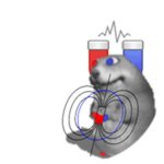 Magnetik