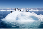 Stopping Climate change!