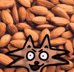 Allure of the Almonds