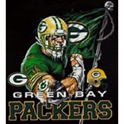 GreenBay Packers Stadium