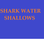 Shark Water Shallows