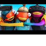 Fishy Explorers !