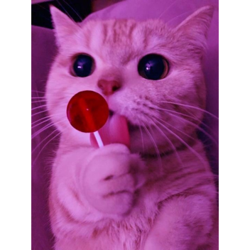 <3