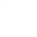 Rogue Studio inc