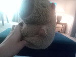 The Great Capybara