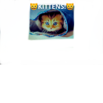 Kittens! :D