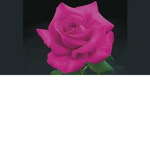 roblox group;) friendship
