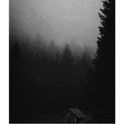 Untitled Foggy Game