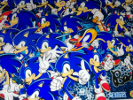 Sonics place