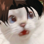 꽁꾸랑 놀자:)