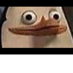 The group for the meme lords