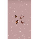 The_night_group