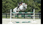 Horse! Academy!