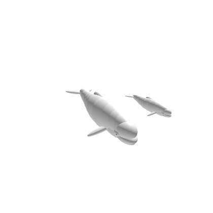 Beluga Morphs