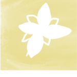Tillypop’s fan group