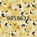 !doge