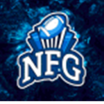 NFG S1