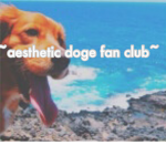 ~aesthetic doge fan club~