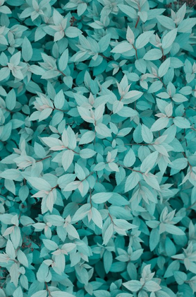 Basic Medium Painting