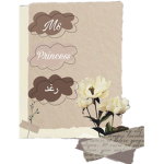 Ms’ Princess