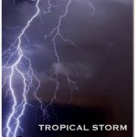 Thunderboi