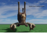 UPSIDE DOWN MOOSE