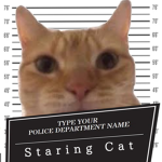 Criminal Cat Creations (CCC)