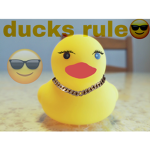 ducky’s gang